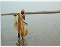 Livelihood at Sagar